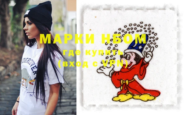 бошки Богородицк